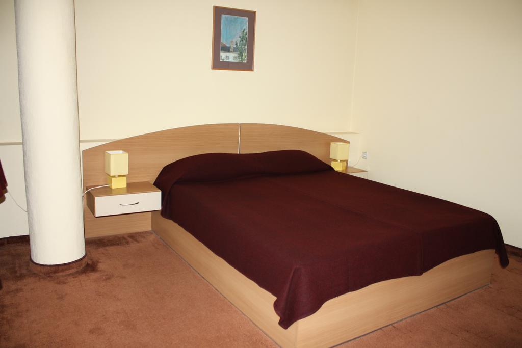 Hotel Of Bulgarian Academy Of Sciences صوفيا الغرفة الصورة